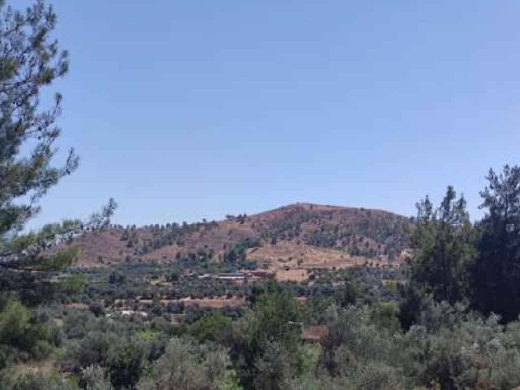 Field-Korakou-PR39096