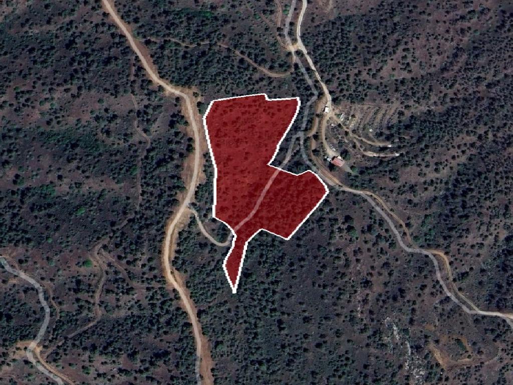Field - Mitsero, Nicosia