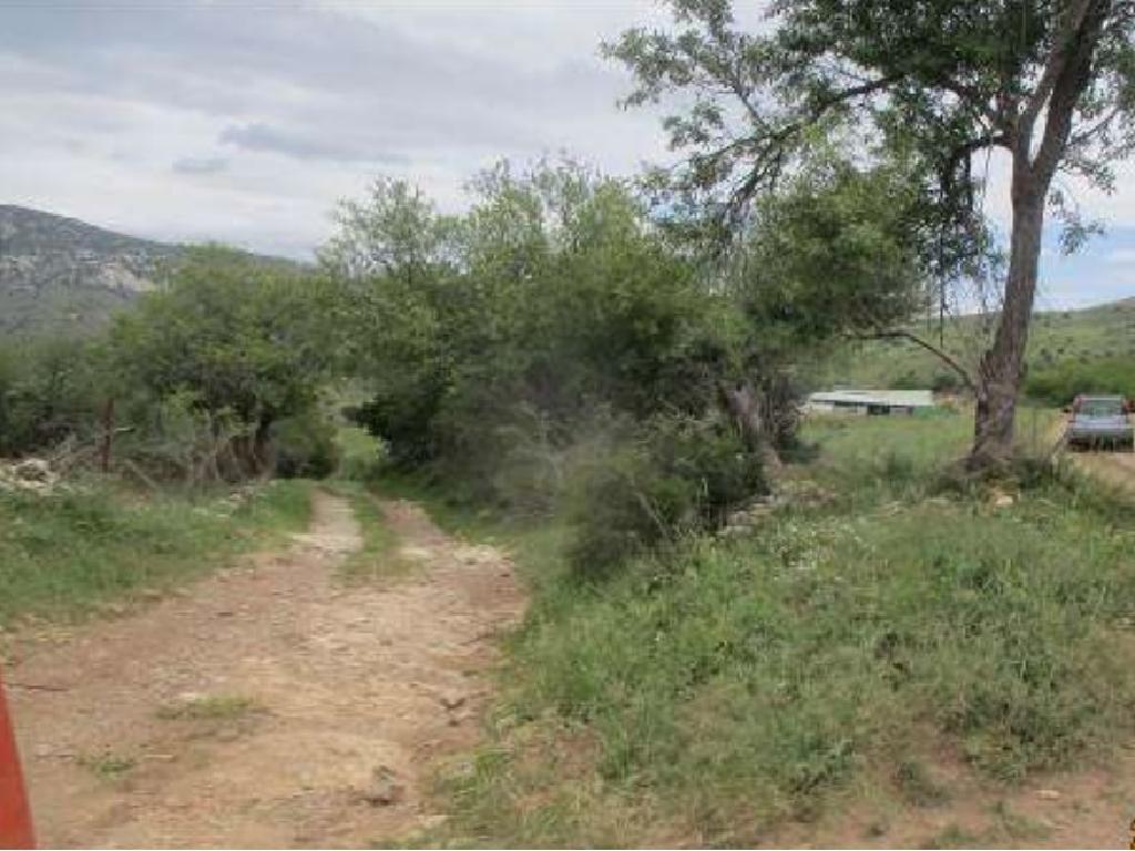 Field-Kelokedara-CP10052