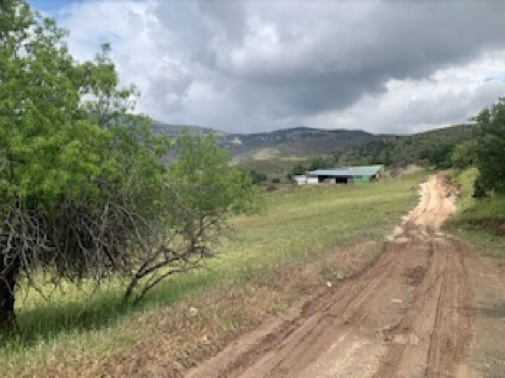 Field-Kelokedara-CP10052