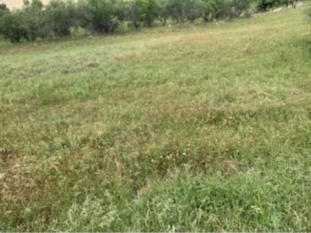 Field-Kelokedara-CP10052