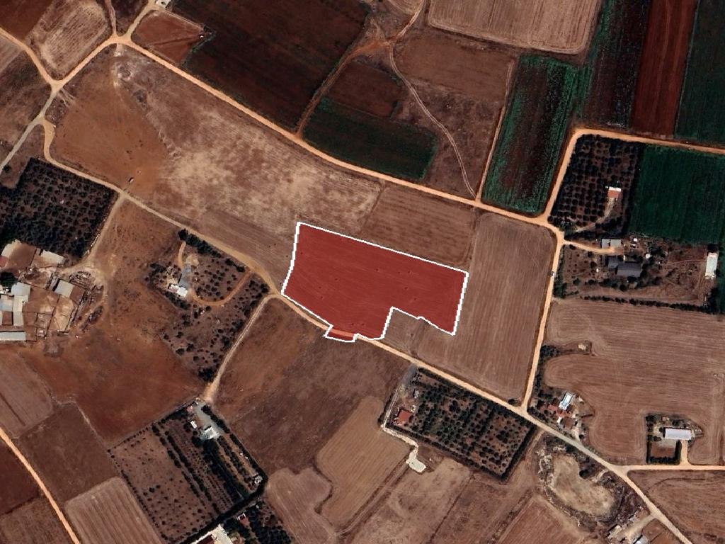 Field-Xylofagou-PR41761