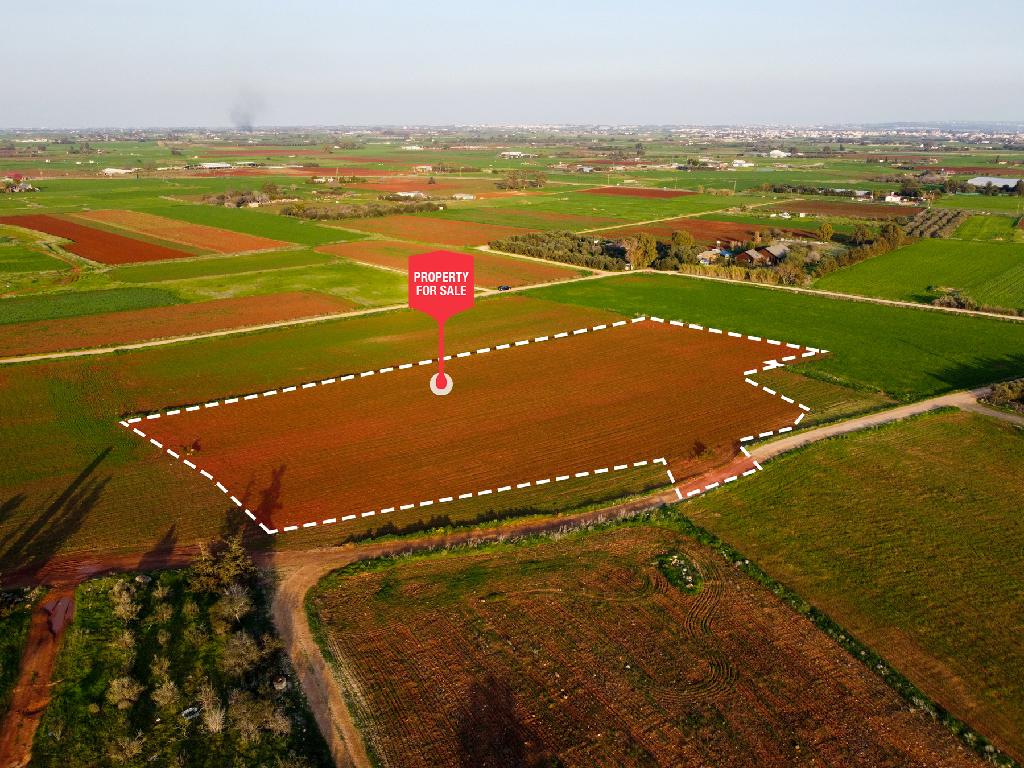 Field-Xylofagou-PR41761