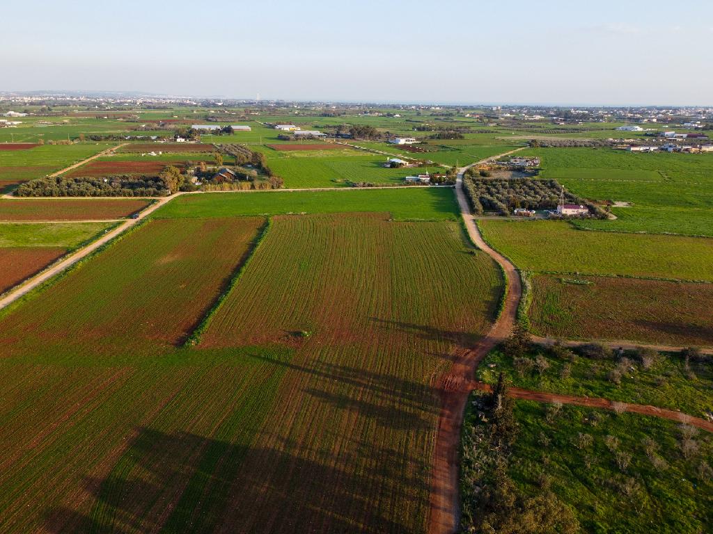 Field-Xylofagou-PR41761
