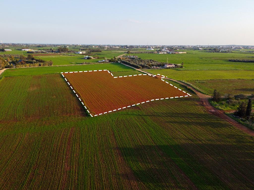 Field-Xylofagou-PR41761