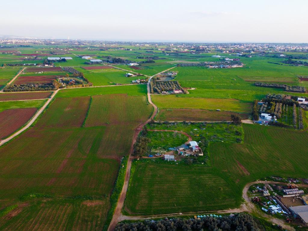 Field-Xylofagou-PR41761