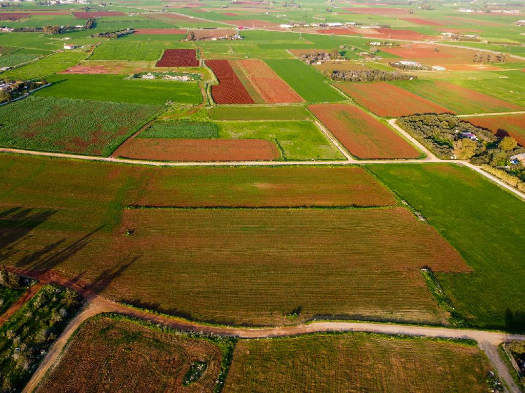 Field-Xylofagou-PR41761