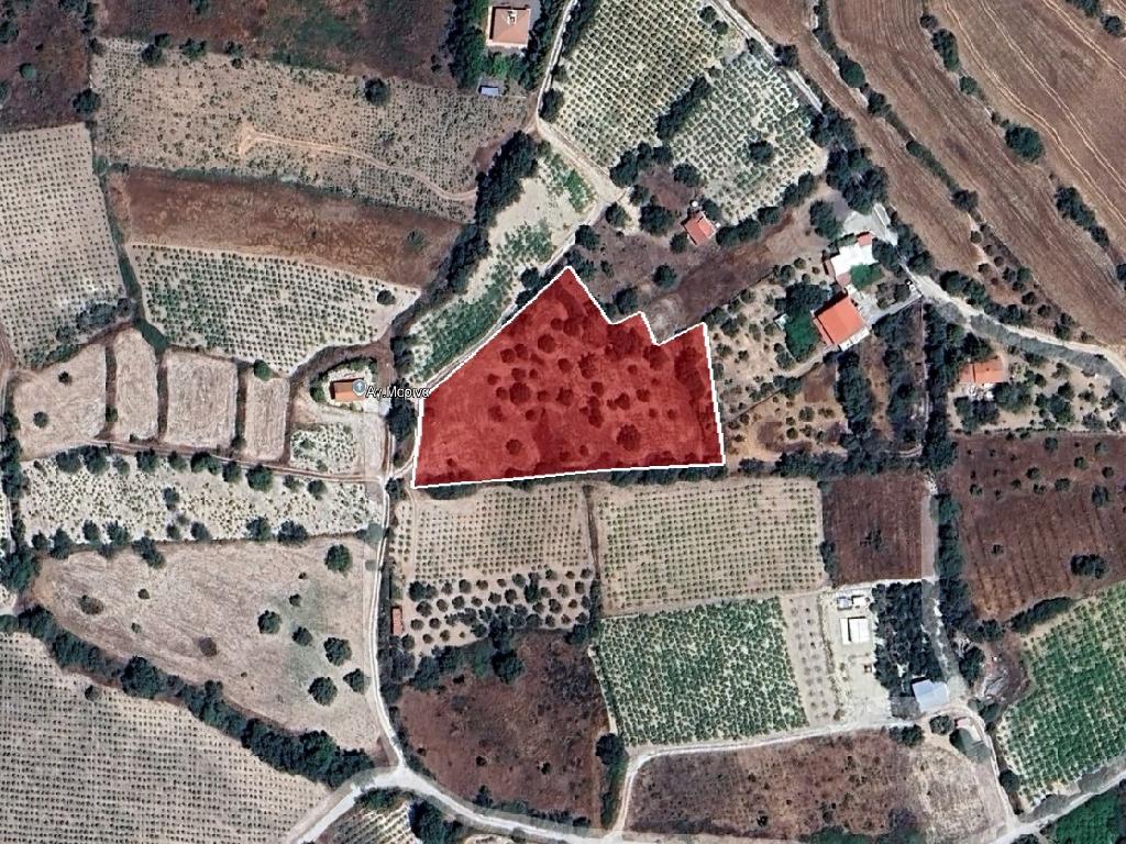 Field - Laneia, Limassol