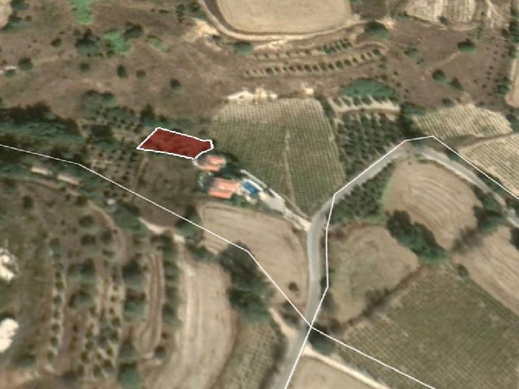 Field-Stroumpi-PR11788