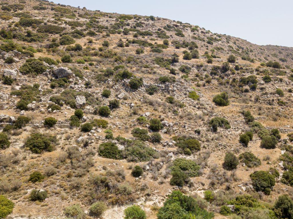 Field-Pissouri-PR13060