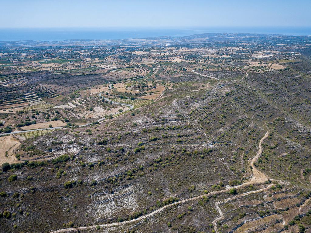 Field-Pachna-PR12169
