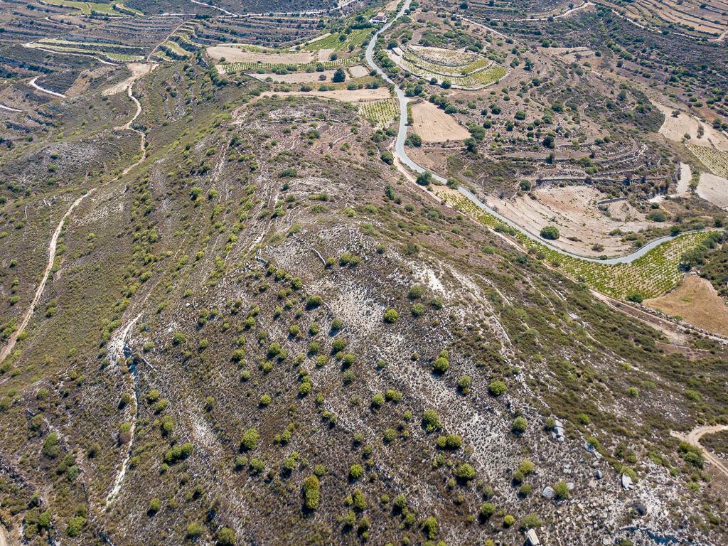 Field-Pachna-PR12169