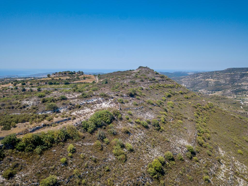 Field-Pachna-PR12169