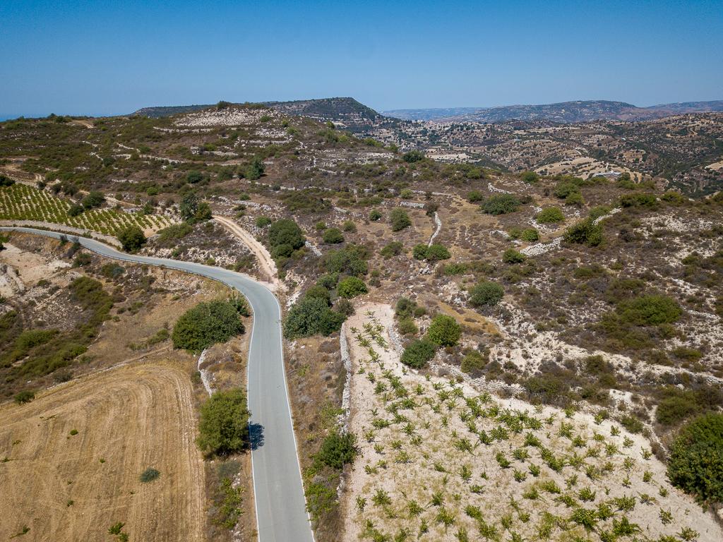 Field-Pachna-PR12169