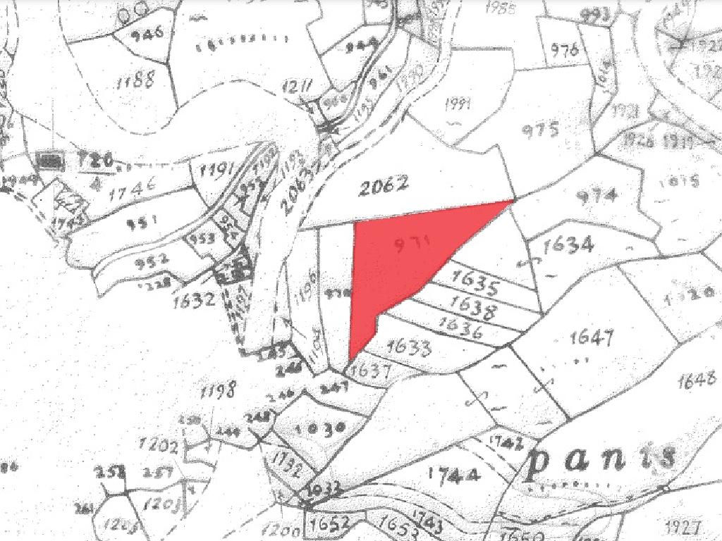Field-Foini-PR13320