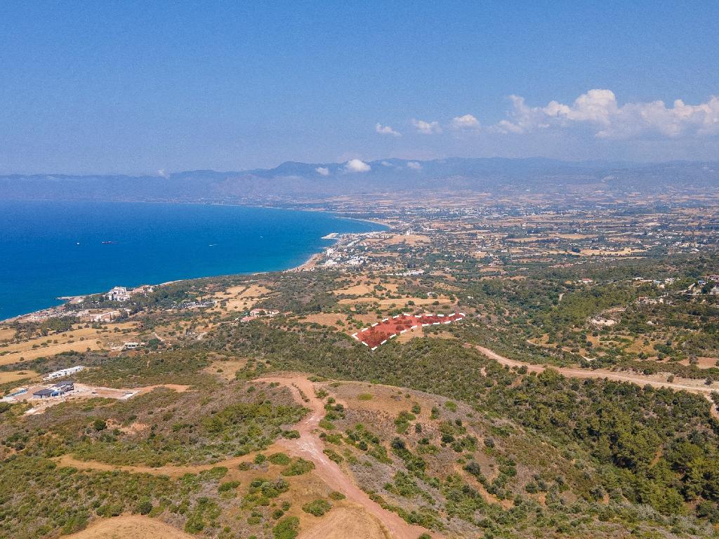 Field - Neo Chorio, Paphos