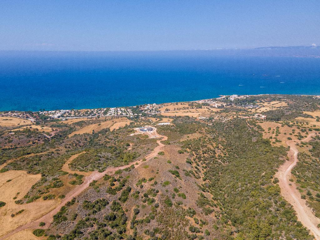 Field - Neo Chorio, Paphos