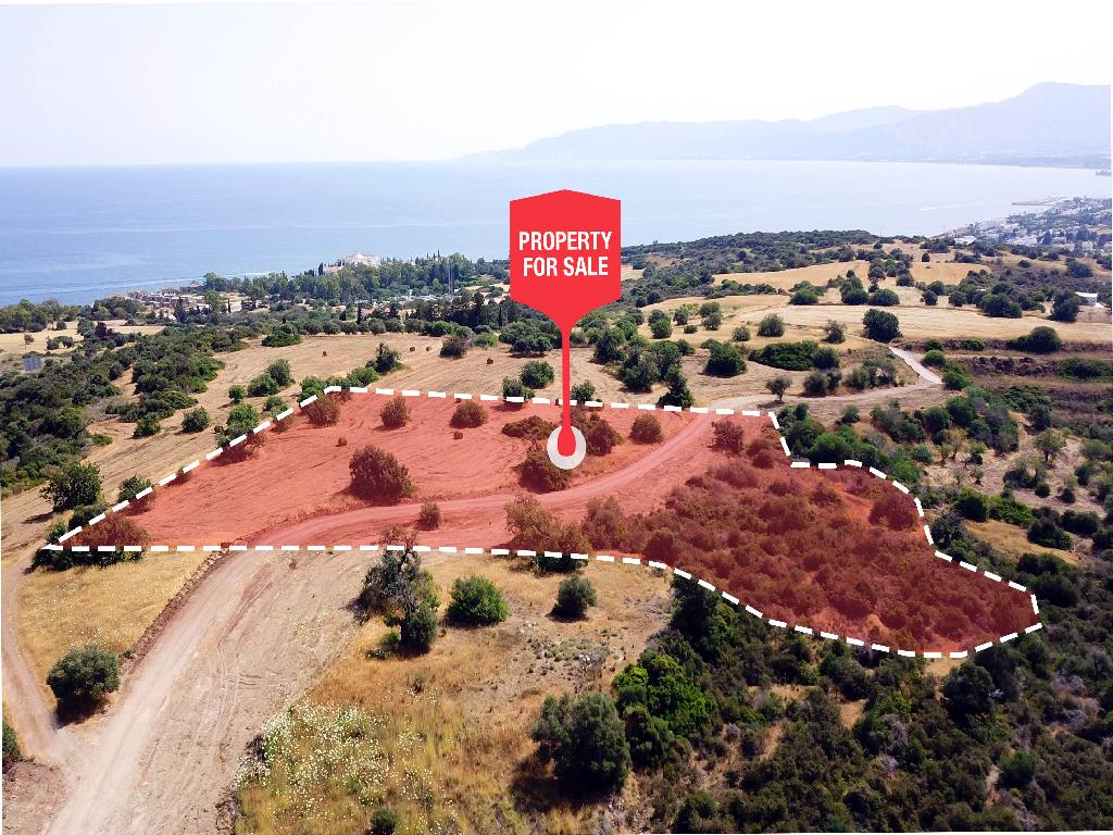 Field - Neo Chorio, Paphos