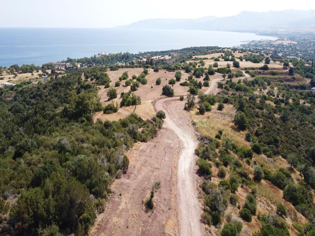 Field - Neo Chorio, Paphos