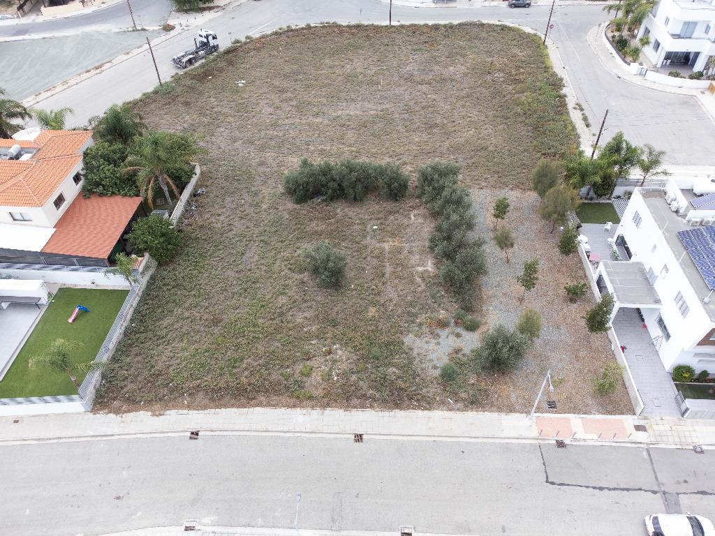 Field-Latsia-PR35489