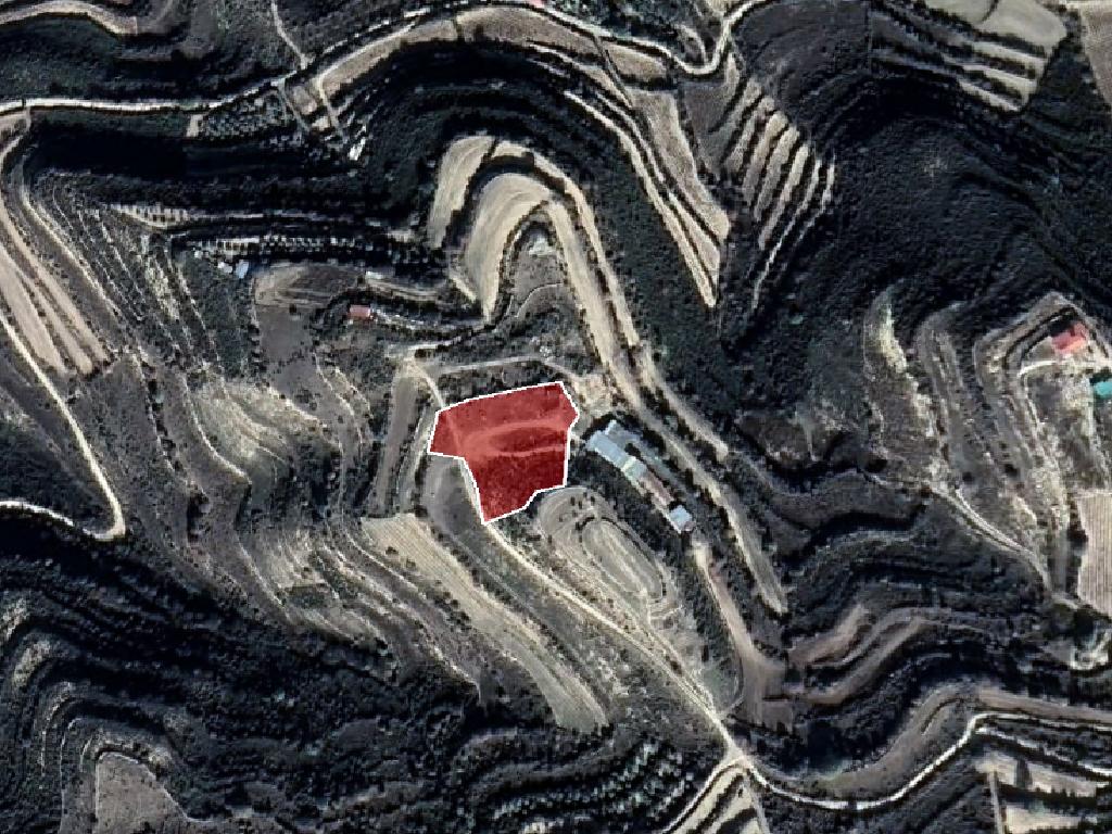 Field-Pachna-PR36581