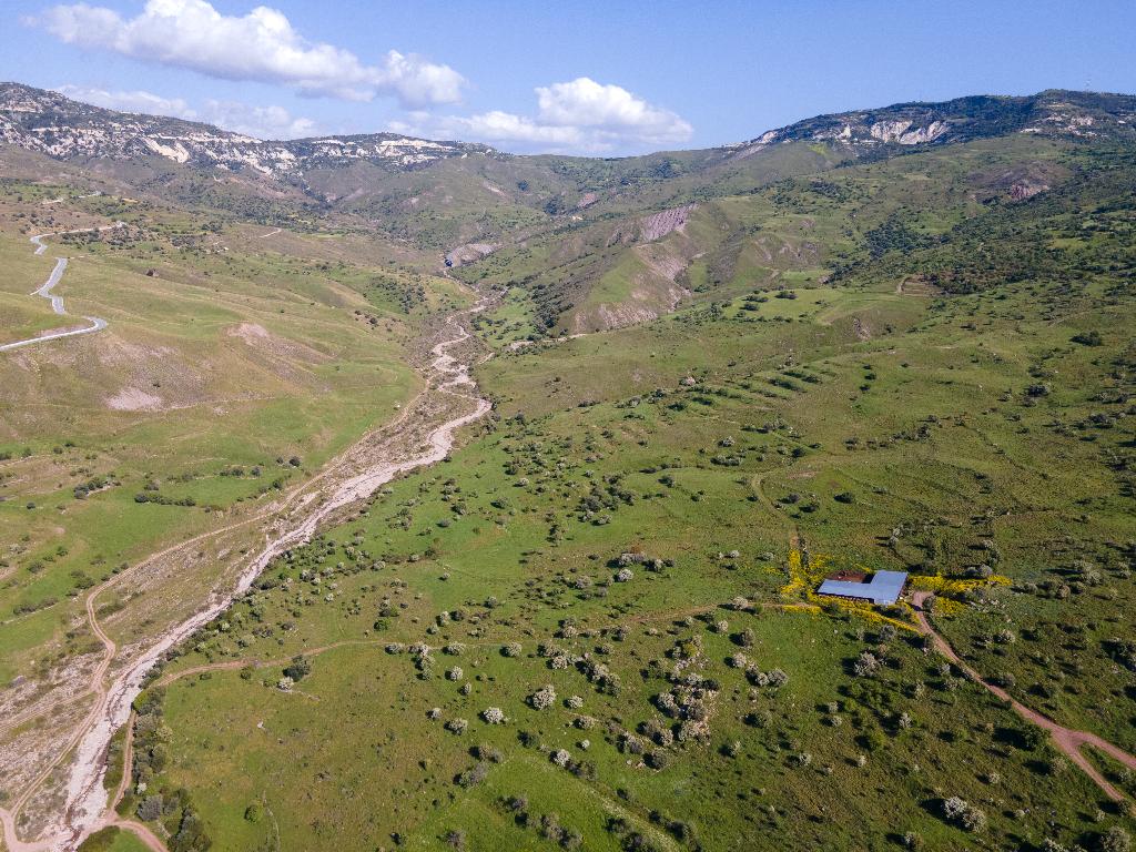 Field-Kelokedara-PR36546