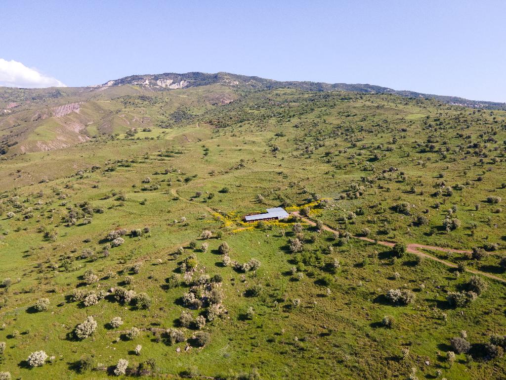 Field-Kelokedara-PR36546