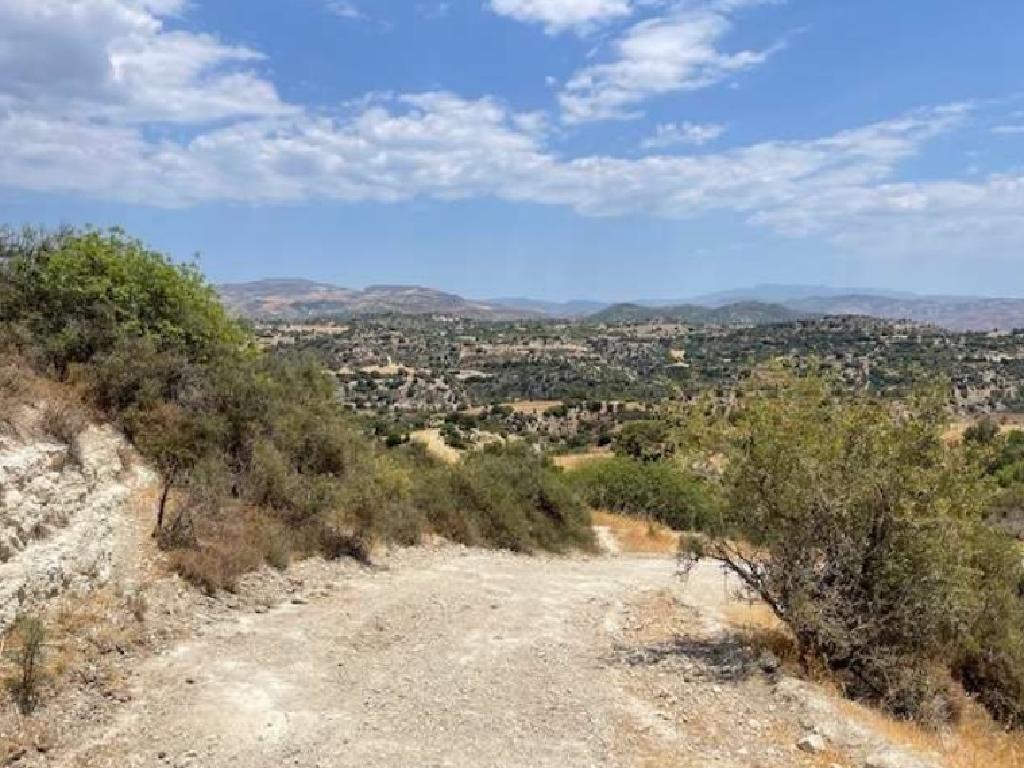 Field-Eledio-PR36961