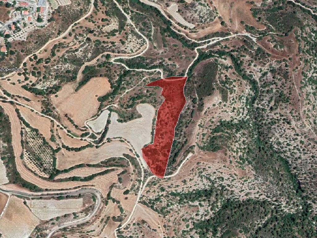 Field-Eledio-PR36961