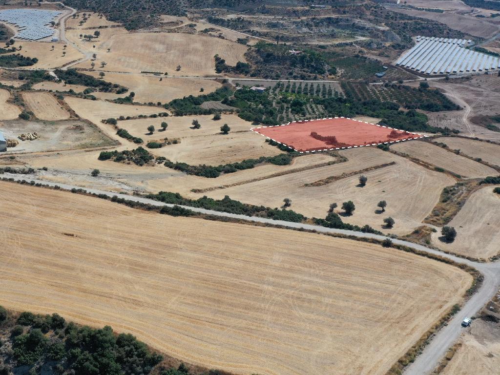 Field - Maroni, Larnaca