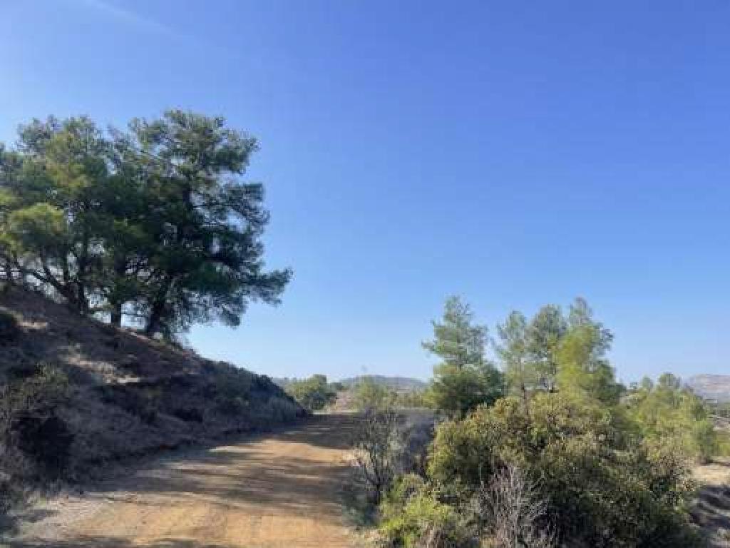 Field - Kalo Chorio (Oreinis), Nicosia