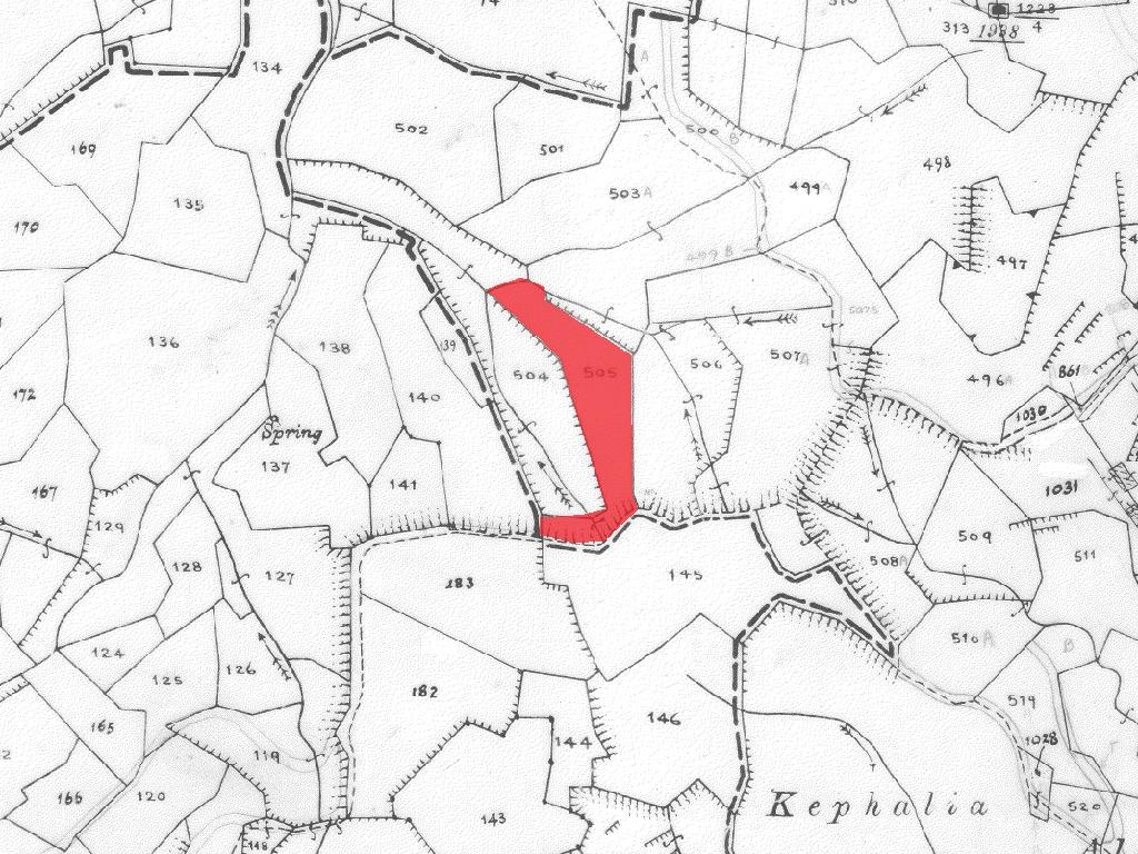 Field-Kalo Chorio (Oreinis)-PR40438