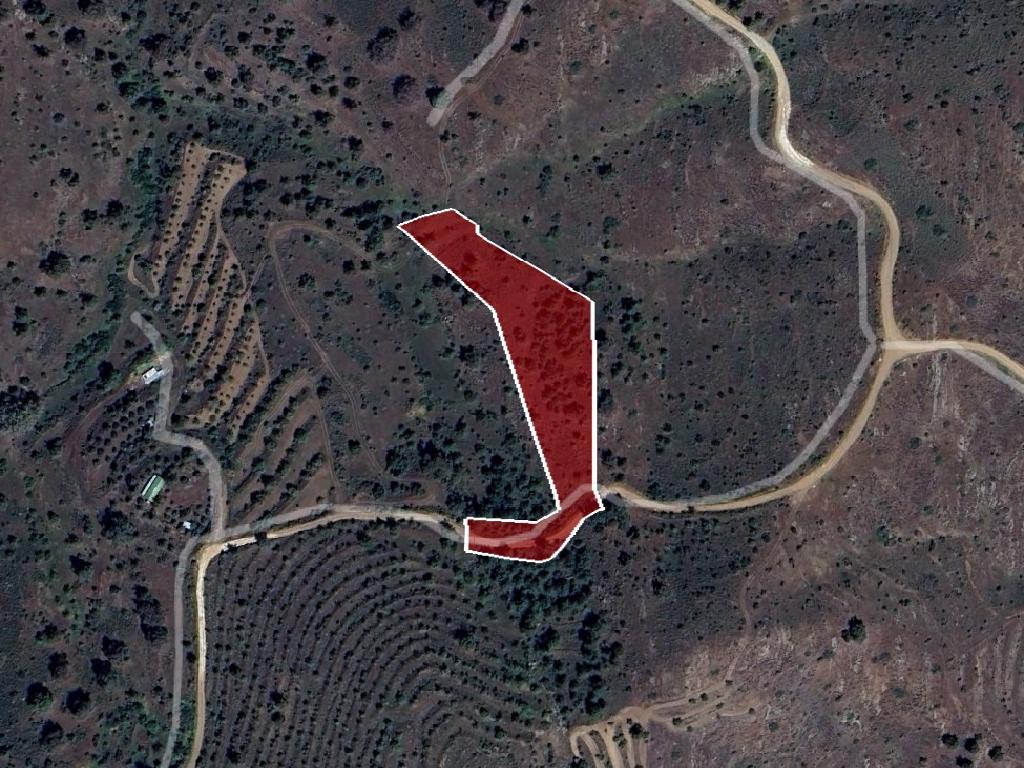 Field - Kalo Chorio (Oreinis), Nicosia