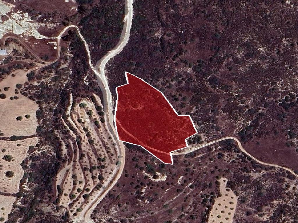 Field - Ora, Larnaca