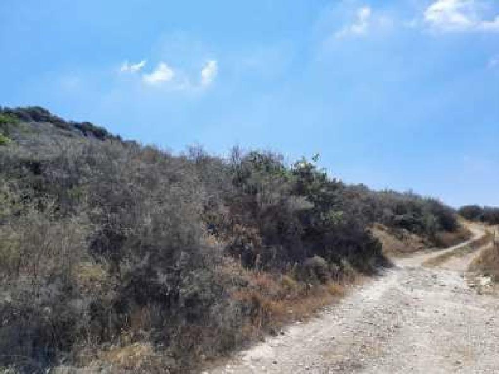 Field - Ora, Larnaca