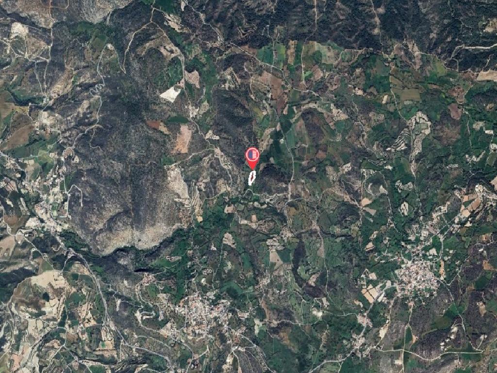 Field-Peristerona-PR41391