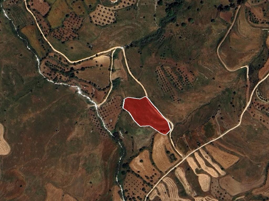 Field - Ineia, Paphos