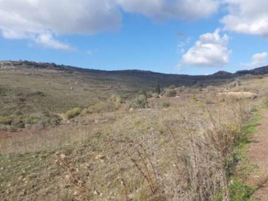 Field - Ineia, Paphos