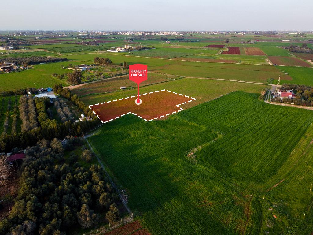 Field-Xylofagou-PR41758