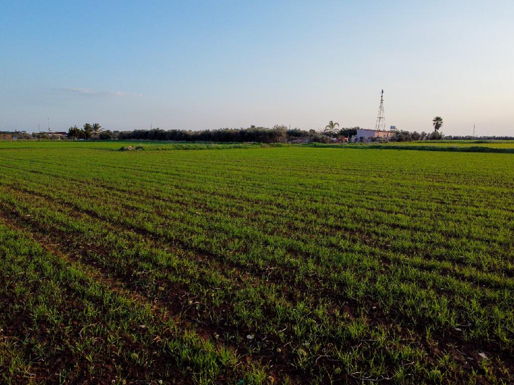 Field-Xylofagou-PR41758