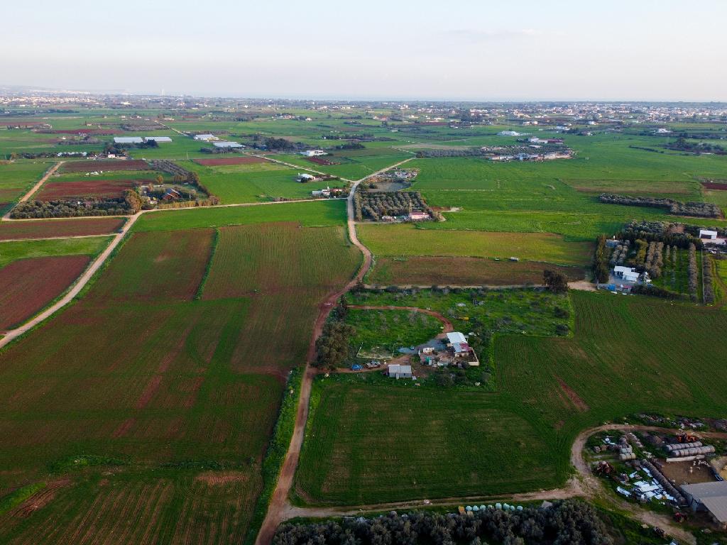 Field-Xylofagou-PR41758