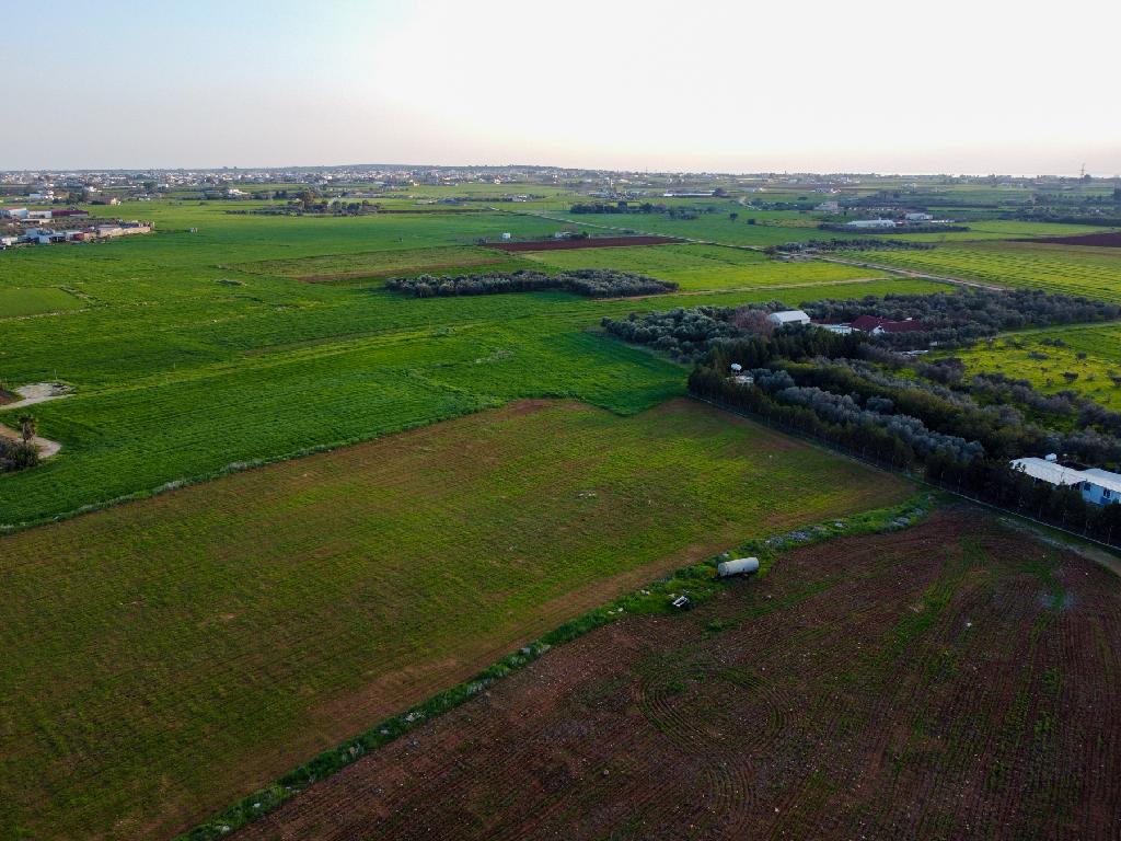 Field-Xylofagou-PR41758