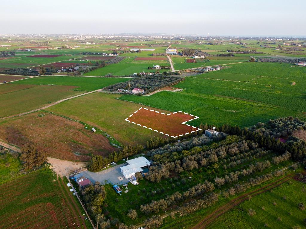 Field-Xylofagou-PR41758