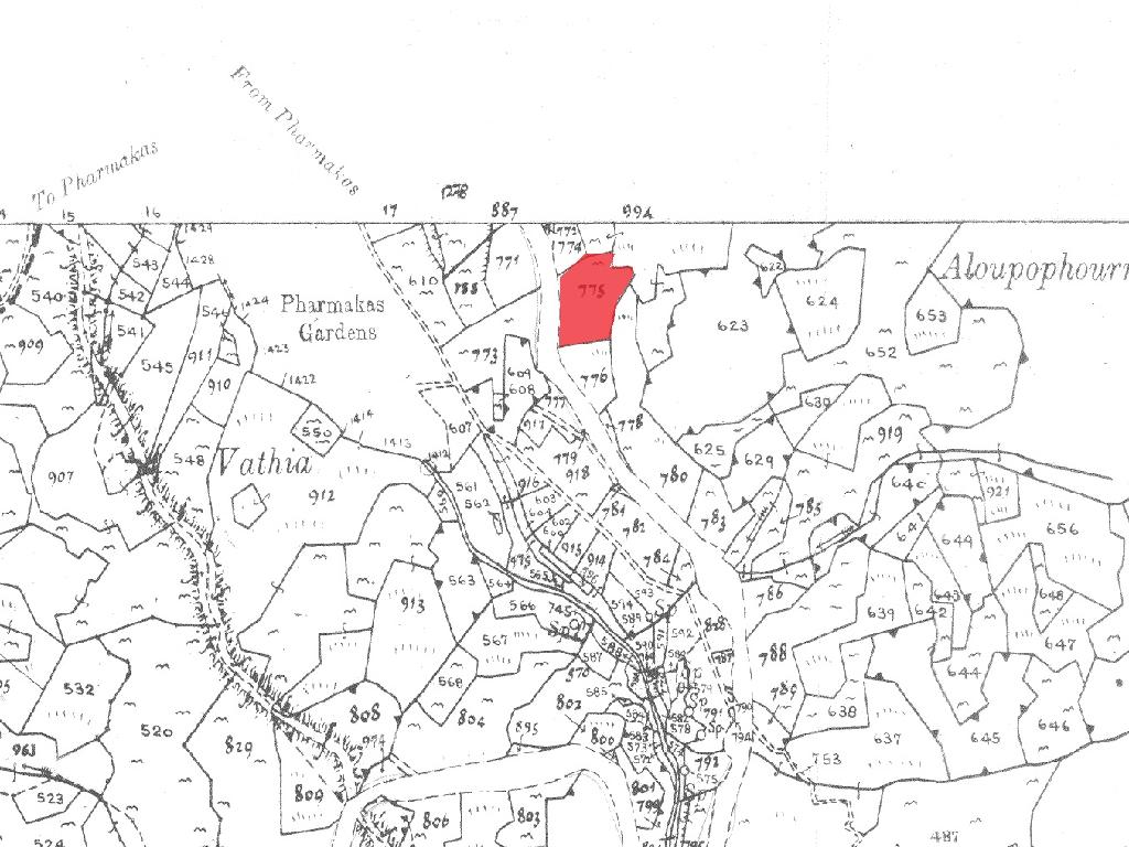 Field-Farmakas-PR41879
