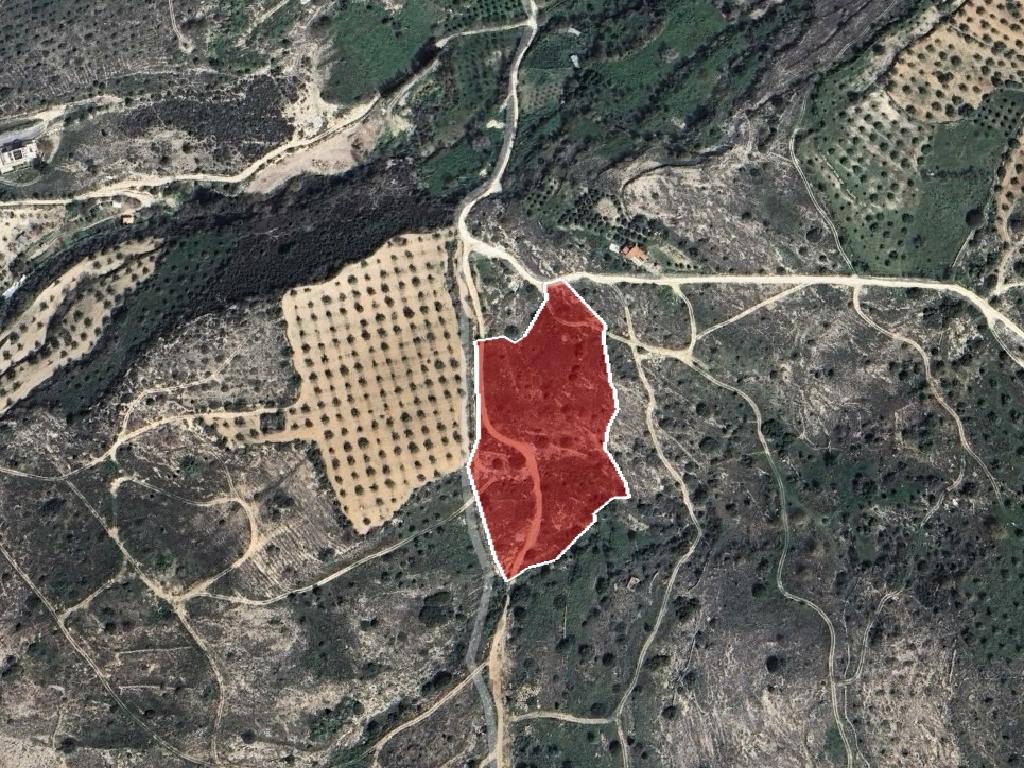 Field-Paphos Municipality-PR42355