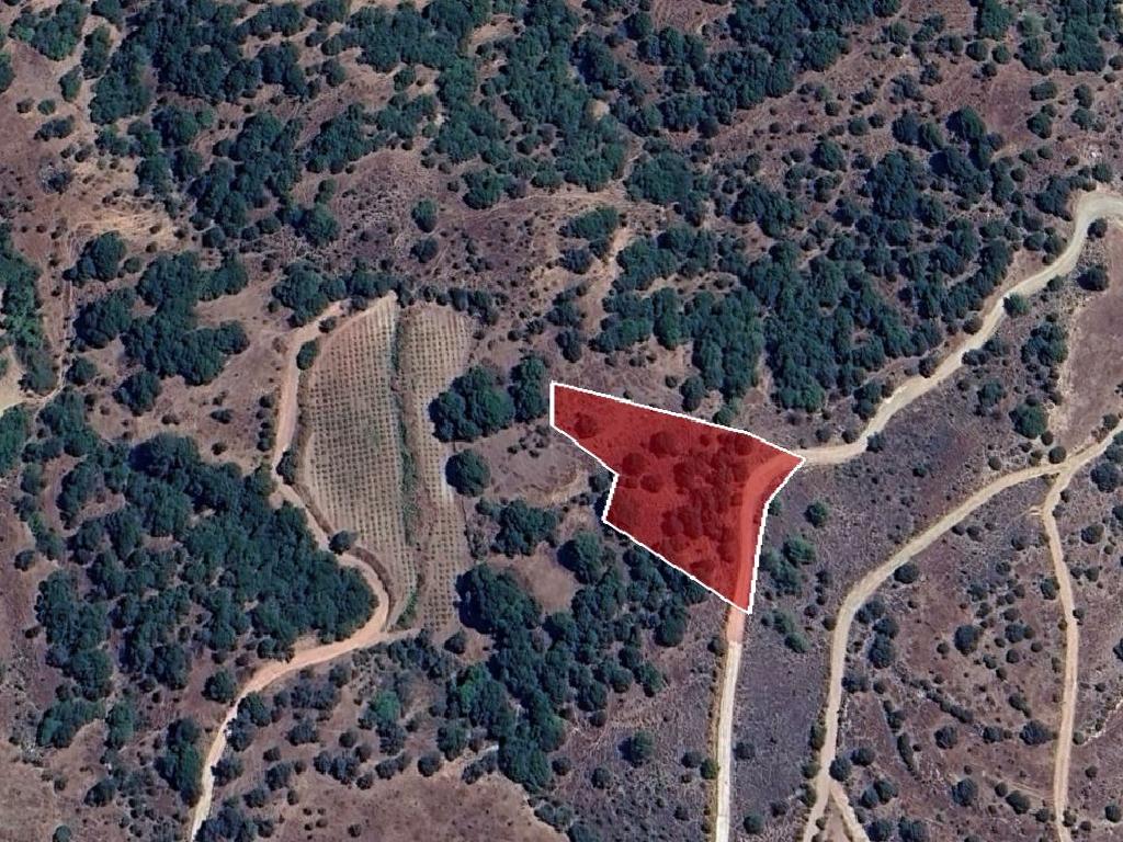 Field-Statos - Agios Fotios-PR42344