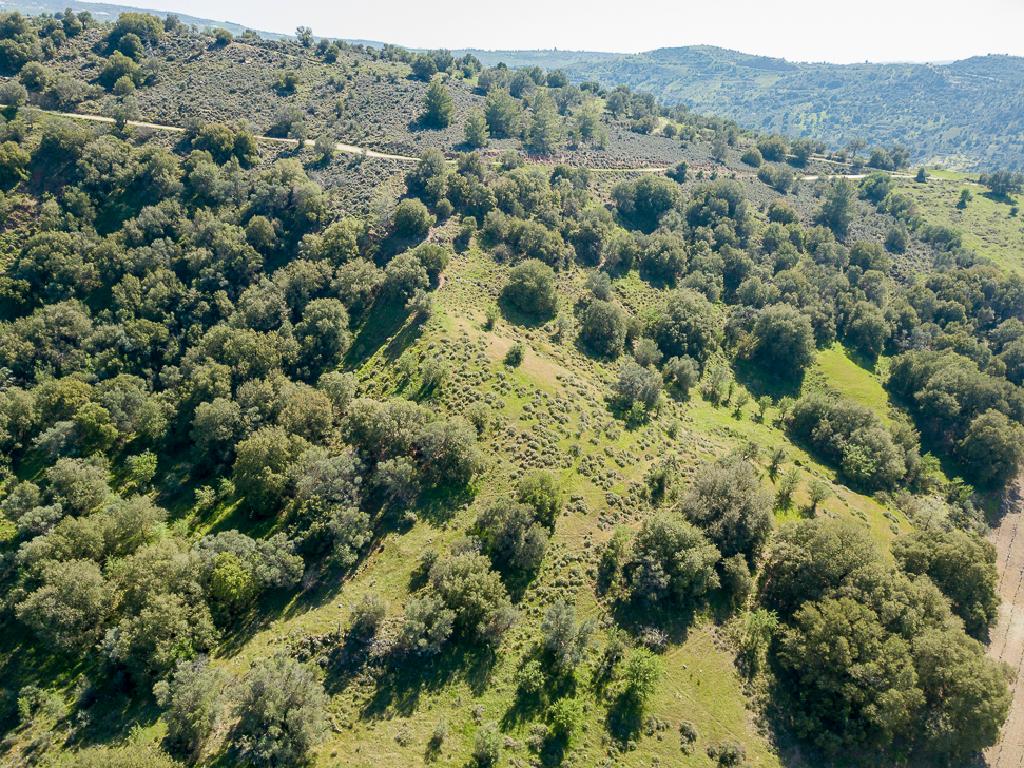 Field-Statos - Agios Fotios-PR42344