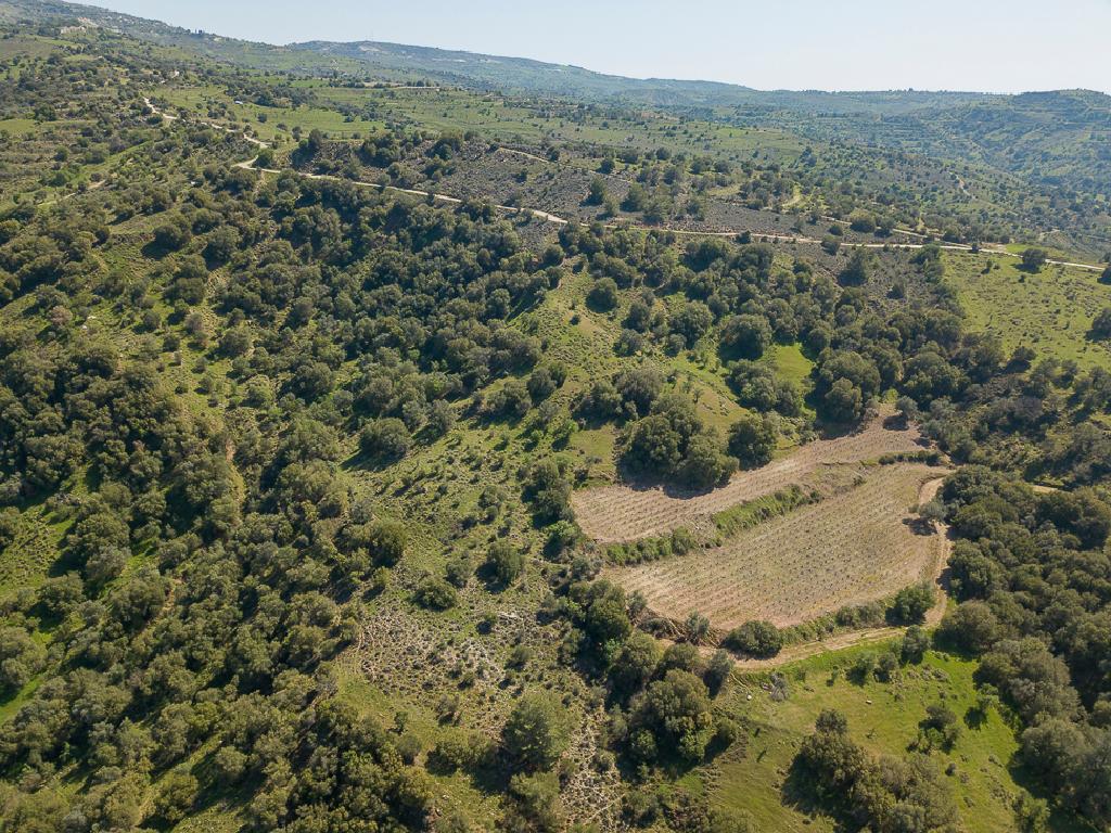 Field-Statos - Agios Fotios-PR42344