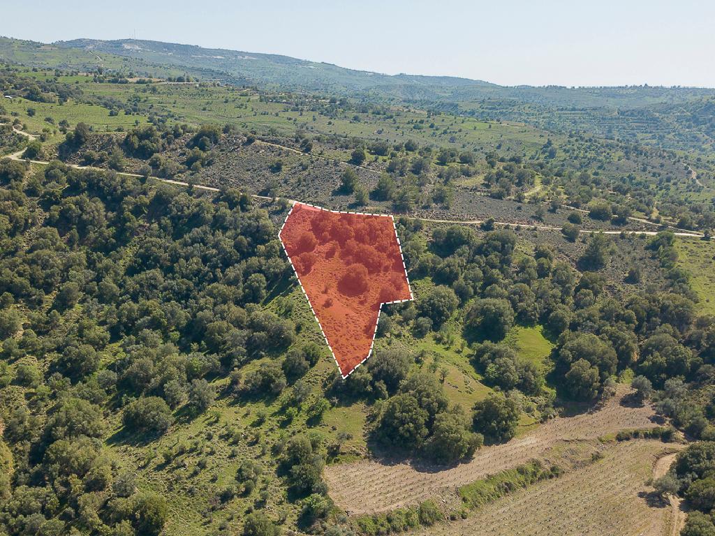 Field-Statos - Agios Fotios-PR42344