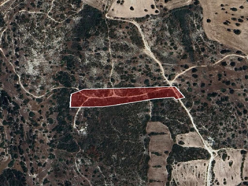 Field-Avdimou-PR42294